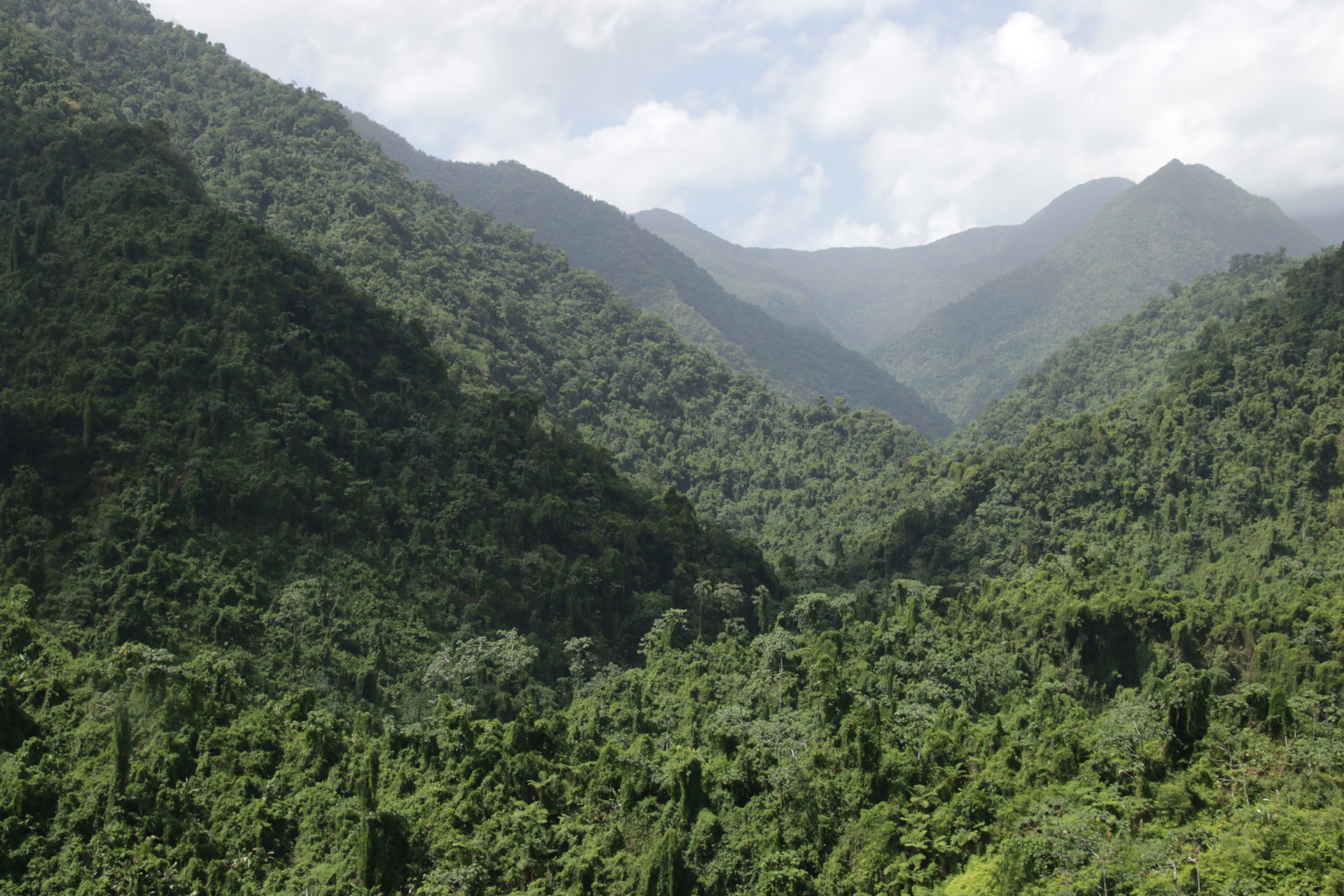Blue and John Crow Mountains